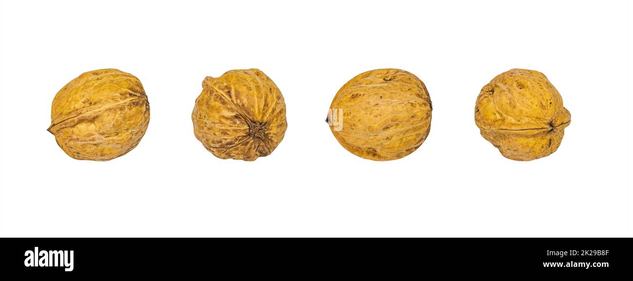 Insieme di immagini di noci isolate su sfondo bianco. Foto Stock