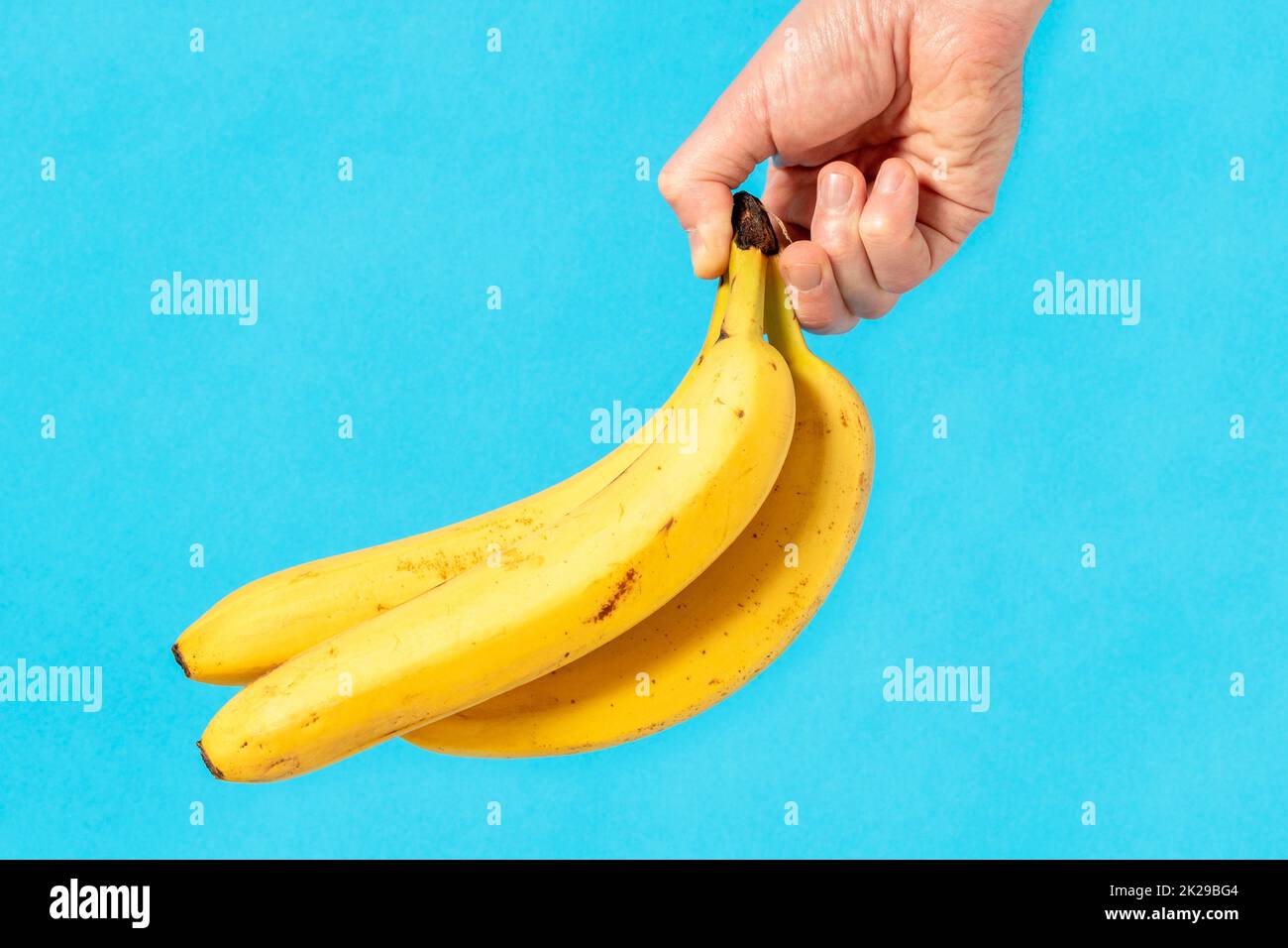 Mano che tiene mazzo di banane su sfondo blu Foto Stock