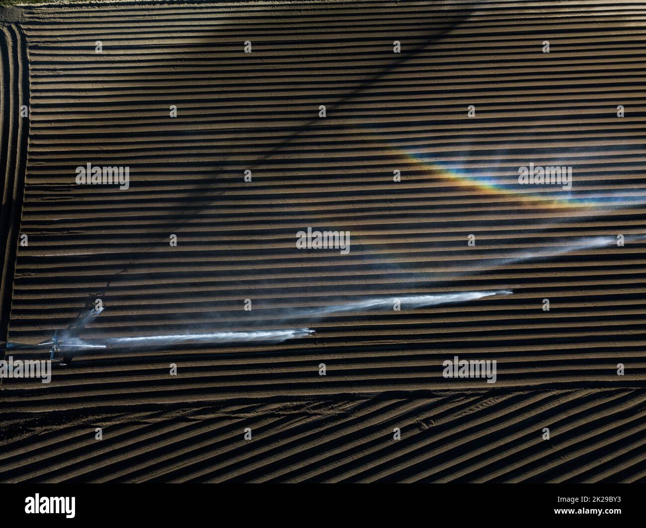 Agricoltura intensa fiekd che è irrigatedwith enormi quantità di acqua sopra una calda giornata estiva - immagine aerea Foto Stock