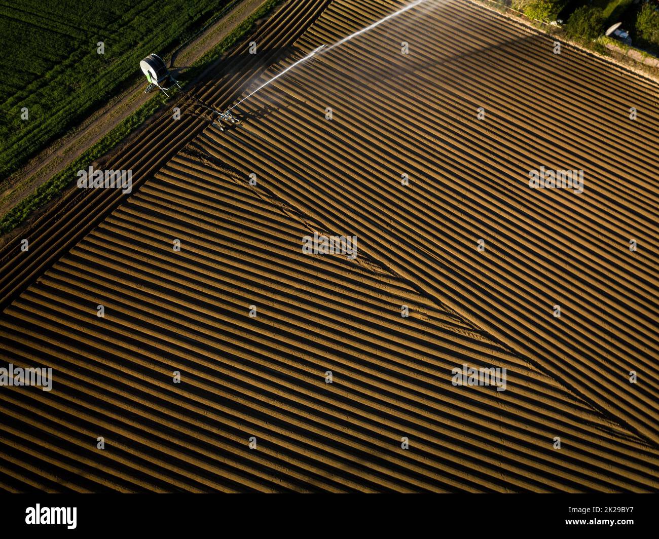 Agricoltura intensa fiekd che è irrigatedwith enormi quantità di acqua sopra una calda giornata estiva - immagine aerea Foto Stock