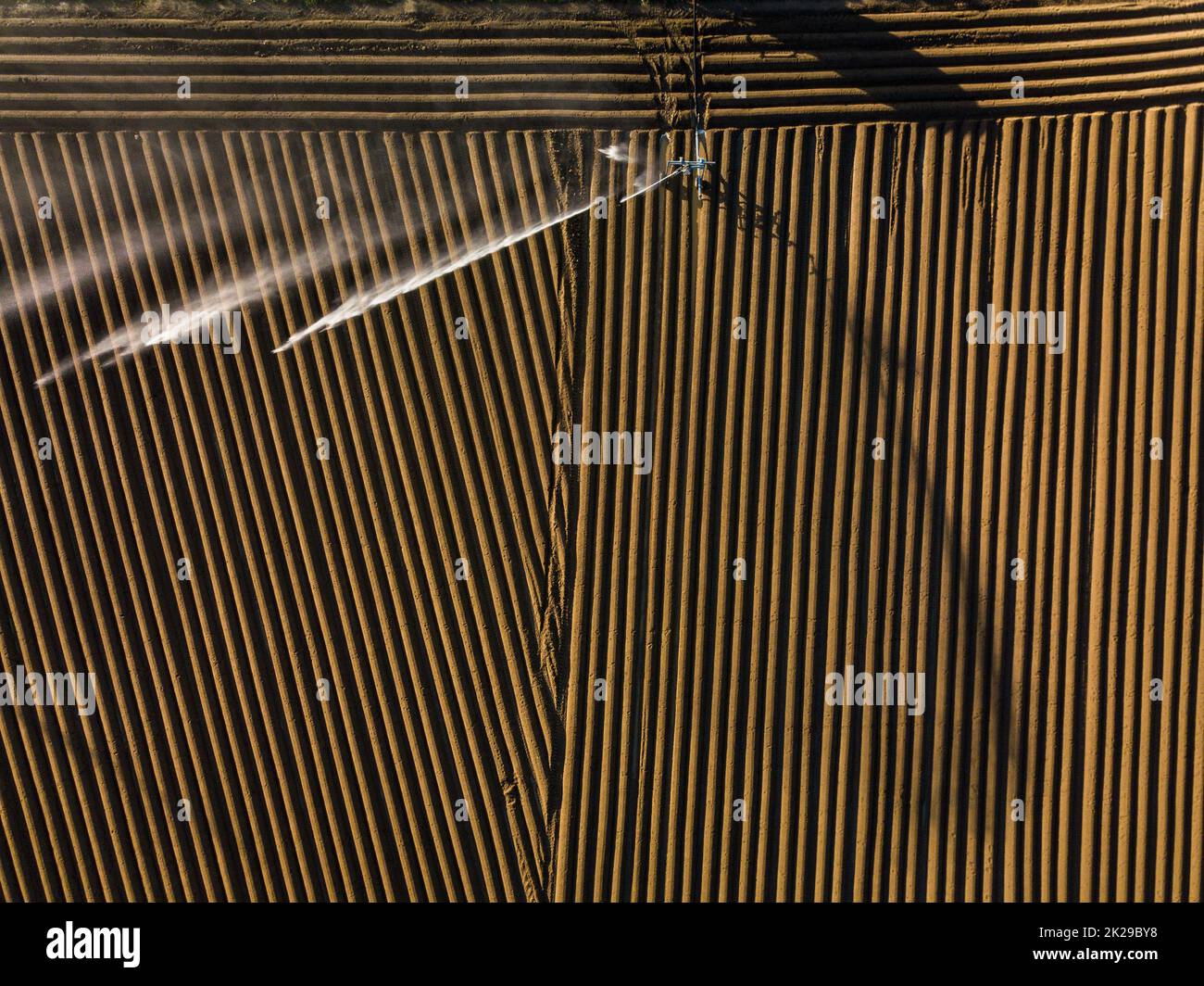 Agricoltura intensa fiekd che è irrigatedwith enormi quantità di acqua sopra una calda giornata estiva - immagine aerea Foto Stock