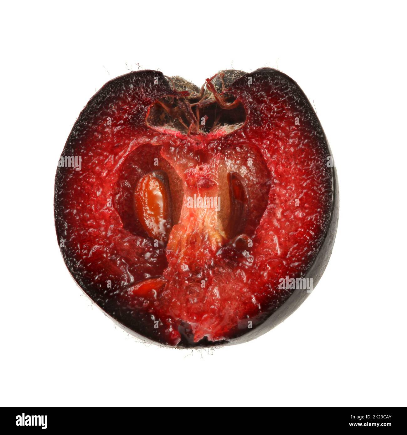 Aronia (chokeberry) frutta tagliata a metà, isolato su sfondo bianco. Close up dettaglio. Foto Stock