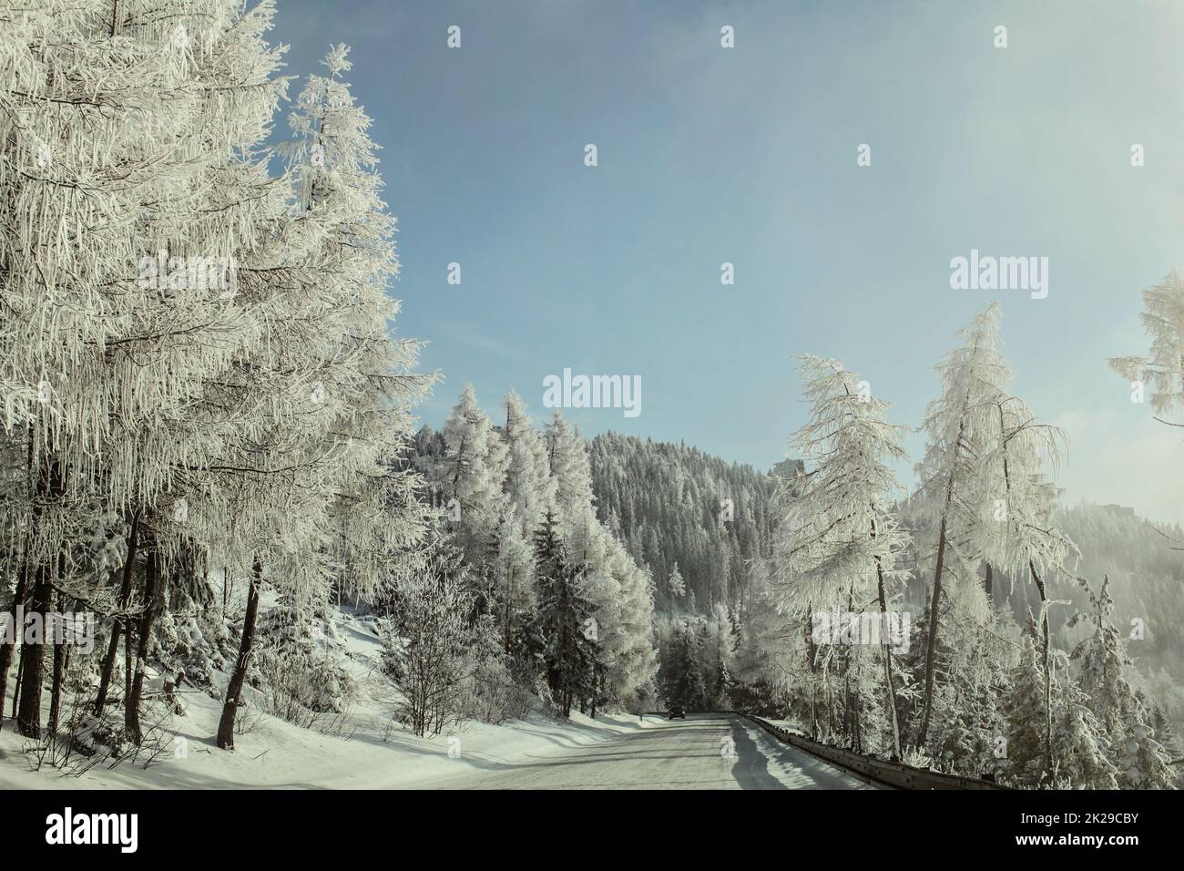 Mattina in inverno la strada forestale, alberi sul lato illuminato dal sole, coperte di bianco rime frost. Foto Stock