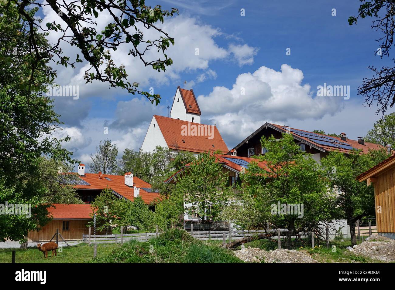 Germania, Baviera, Samerberg, Grainbach, St Ã„gidius e Nikolaus, Landkreis Rosenheim, paesaggio Foto Stock