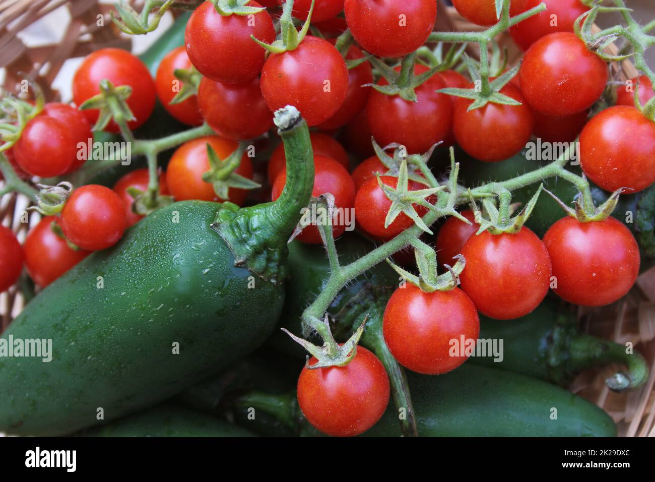 Peperoni Jalapeno freschi e pomodori ciliegini in vendita sul mercato biologico Foto Stock
