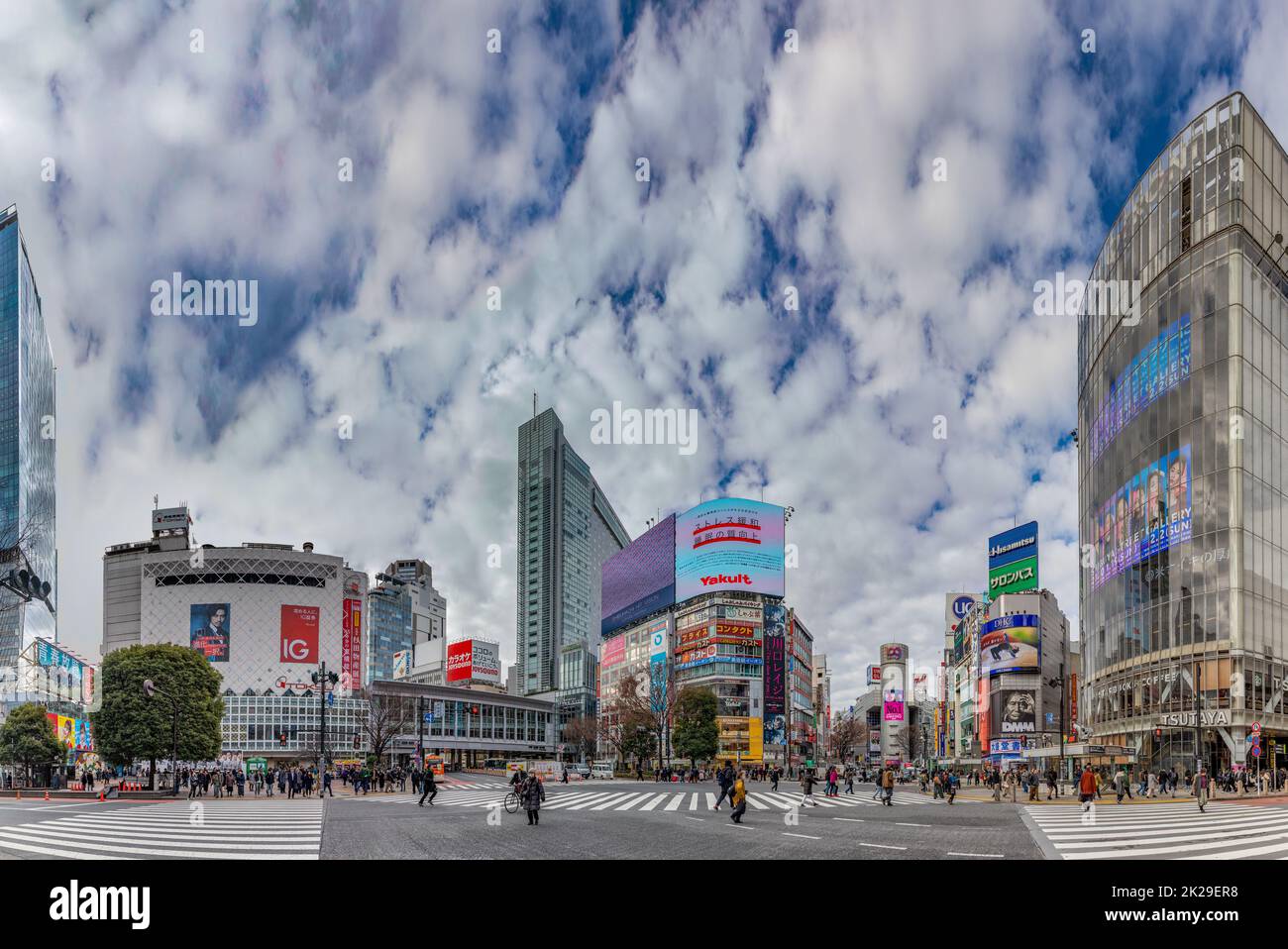 Shibuya Crossing II Foto Stock