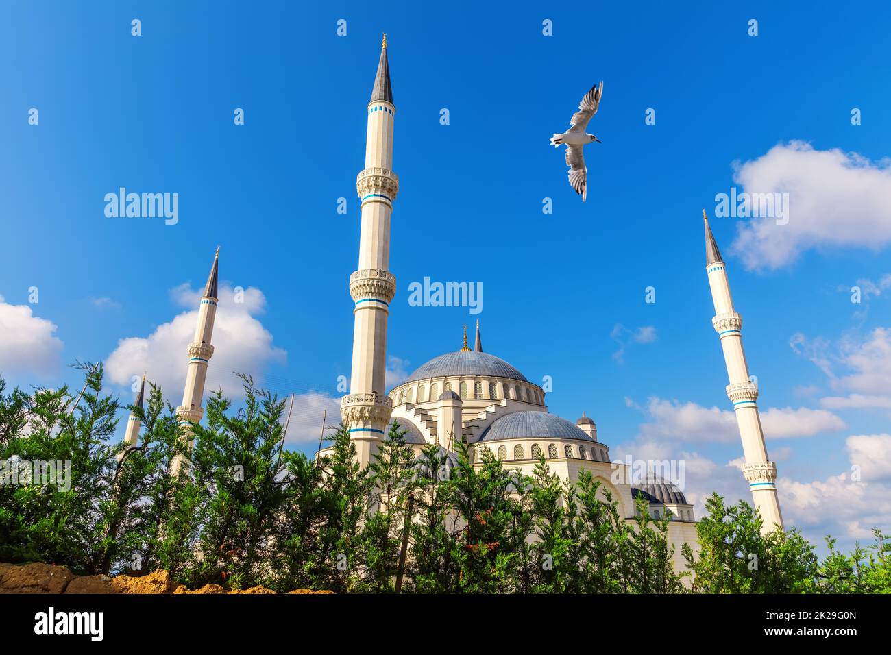 Seagull vola vicino alla nuova moschea di Istanbul, la moschea di Camlica, Turchia Foto Stock