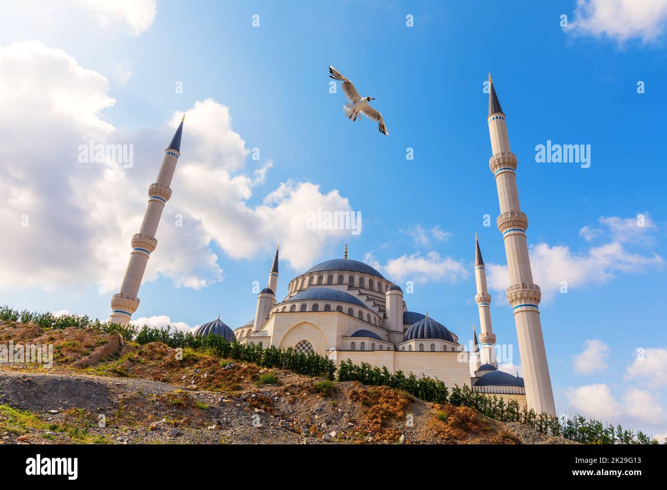 Istanbul Grande Moschea Camlica e gabbiano, Turchia Foto Stock