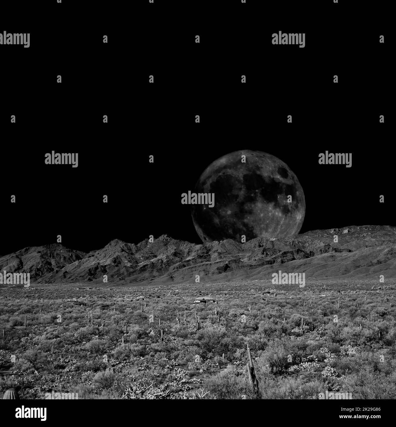 Sonora Desert Moon Foto Stock