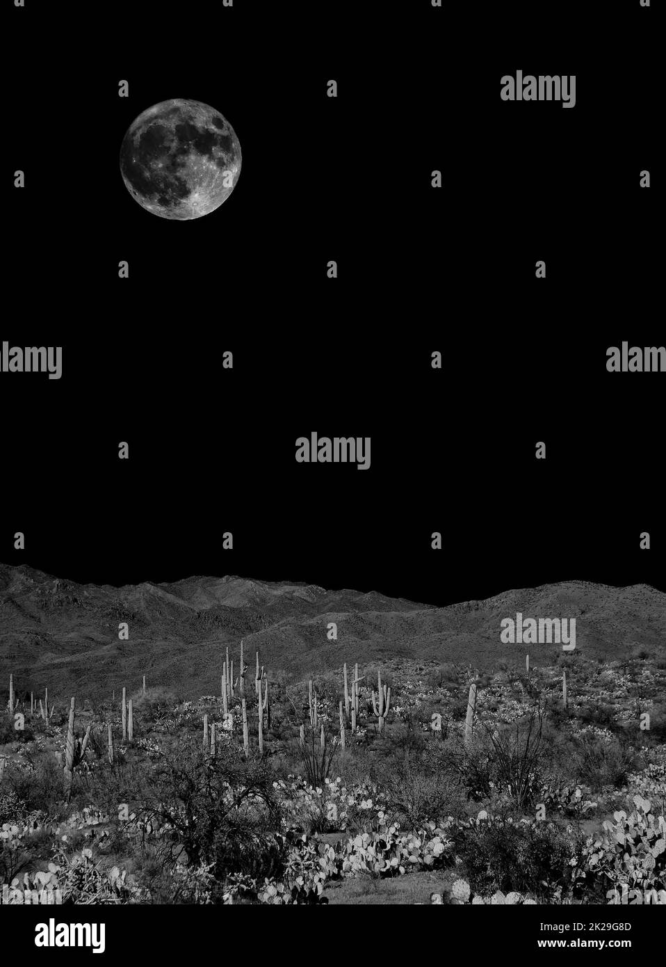 Sonora Desert Moon Foto Stock
