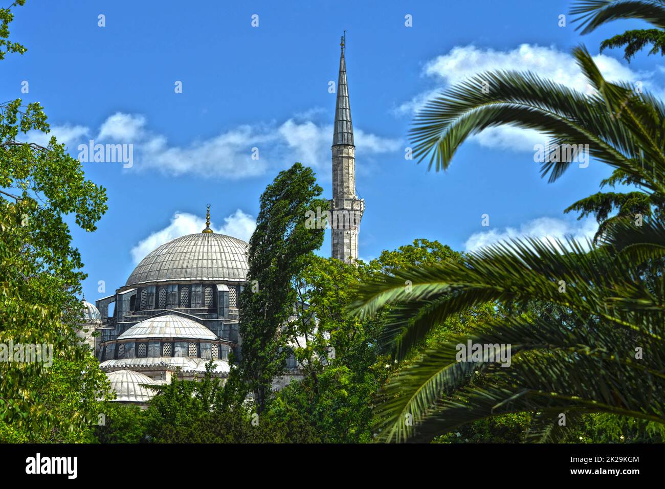 minareto sul tetto della moschea con cielo blu, nuvole e palme Foto Stock