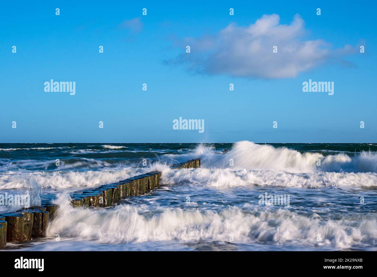 Pennelli sulla riva del Mar Baltico su un giorno di tempesta Foto Stock