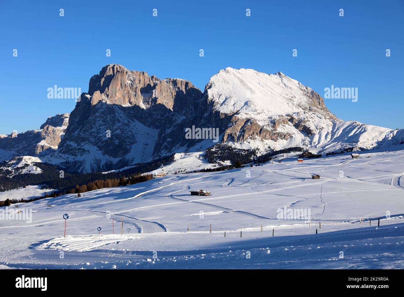 Alpe di Seiser con il Gruppo Langkofel. Alto Adige. Italia Foto Stock