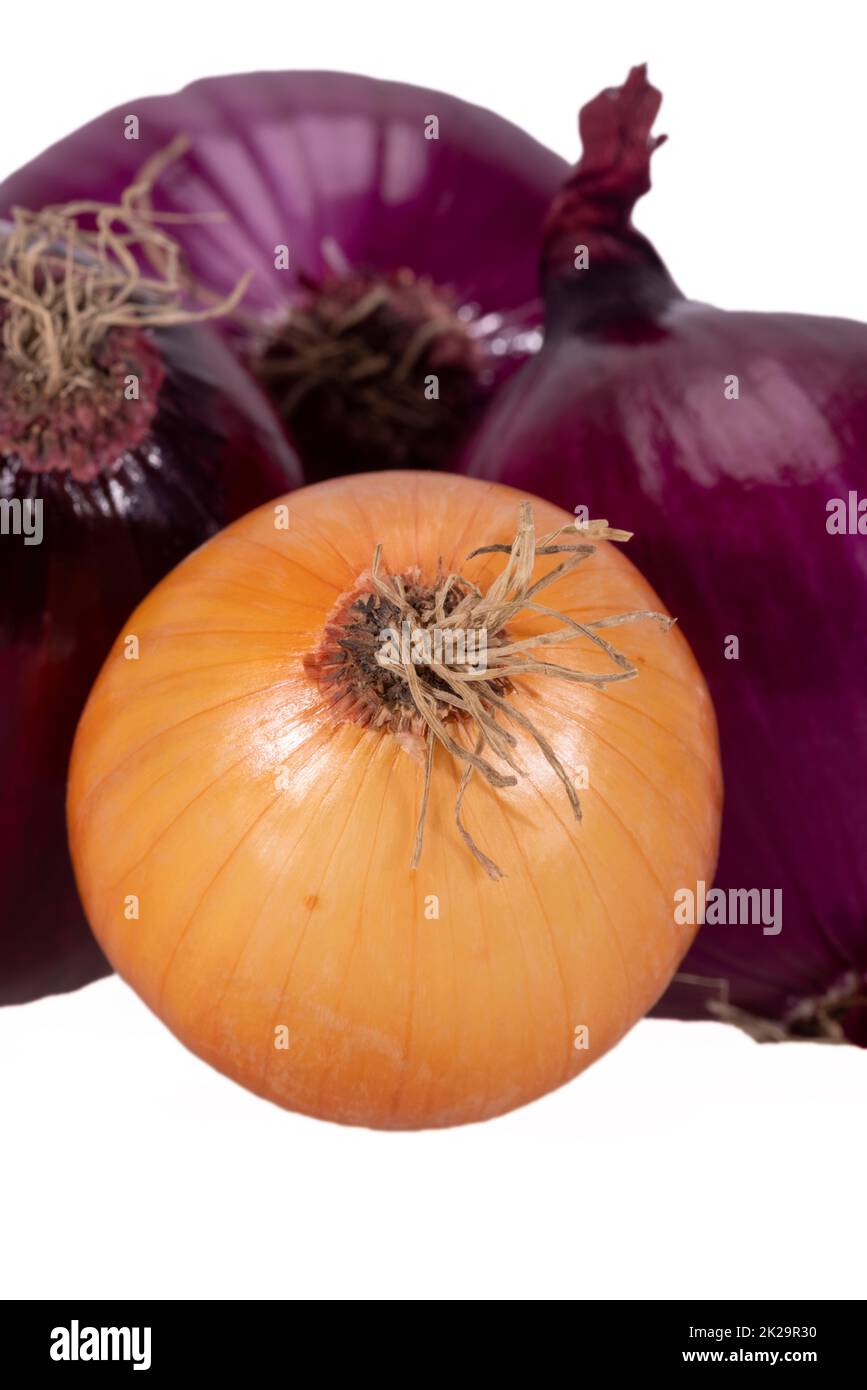 Gruppo di verdure intere di cipolle rosse e cipolle gialle isolate su fondo bianco, primo piano Foto Stock