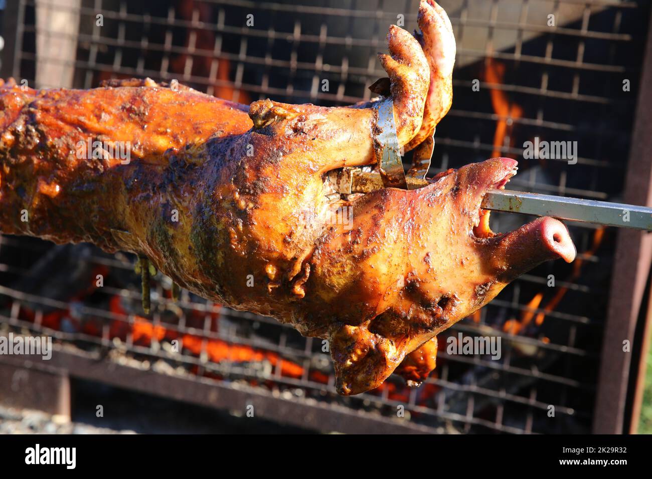 Maialino da tostatura sulla legna da ardere in Germania Foto Stock