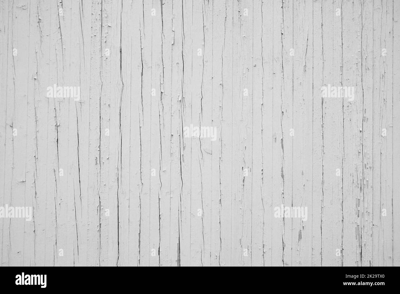 Vecchio muro di legno bianco con piante rustiche Foto Stock