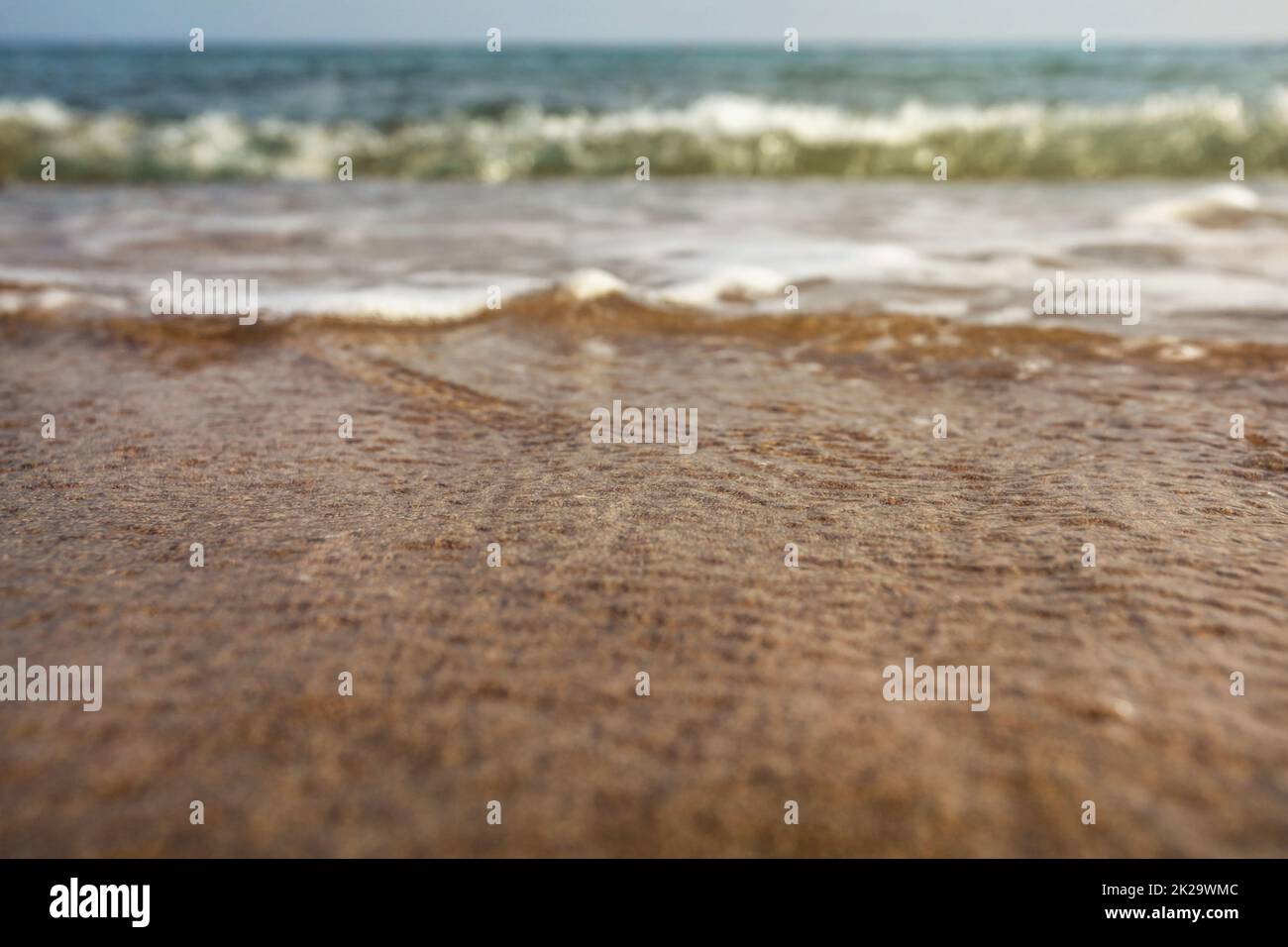 Angolo molto basso (macchina fotografica a terra, primo piano) acqua di mare che lava la sabbia. Fuoco selettivo sulla spiaggia bagnata, vacanza estiva astratta / sfondo vacanza. Foto Stock