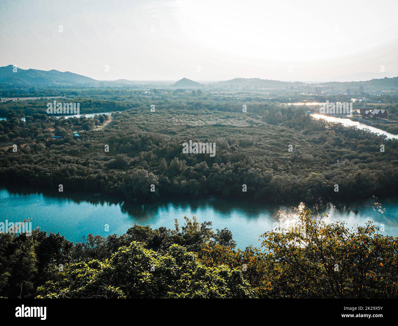 Vista aerea dall'alto foresta, texture di foresta di mangrovie vista da sopra natura montagna sfondo Foto Stock