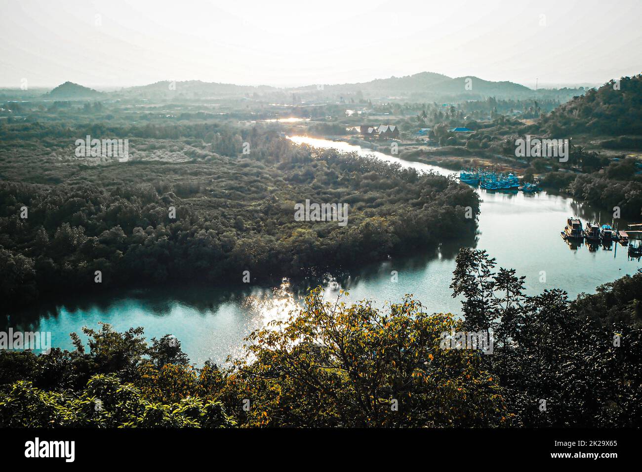 Vista aerea dall'alto foresta, texture di foresta di mangrovie vista da sopra natura montagna sfondo Foto Stock