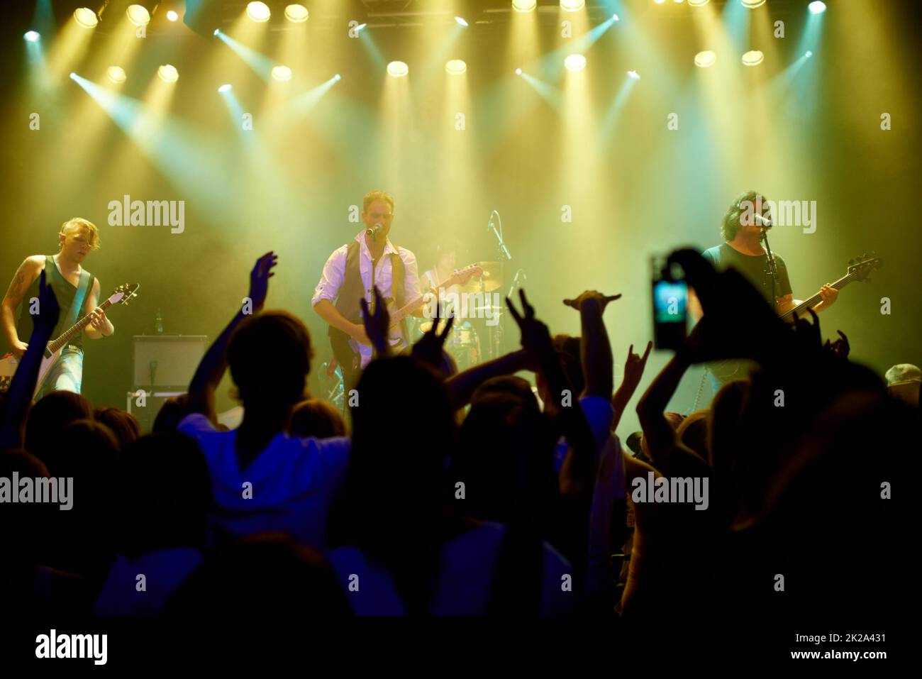 I giovani entrano nella musica in un concerto fantastico. Questo concerto è stato creato per l'unico scopo di questo servizio fotografico, con 300 modelli e 3 band dal vivo. Tutte le persone in questo sparo sono modello rilasciato. Foto Stock