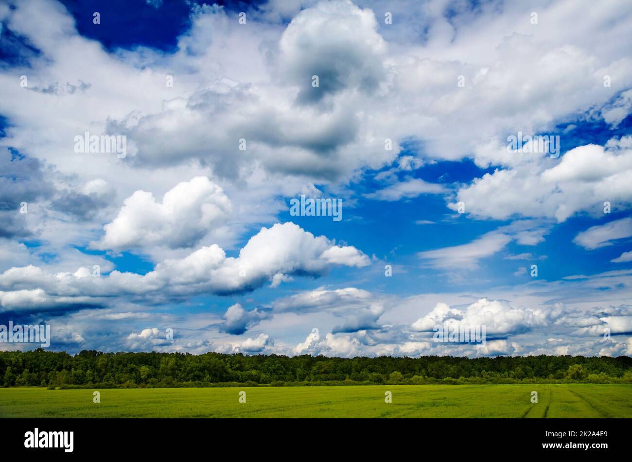 Paesaggio idilliaco Foto Stock