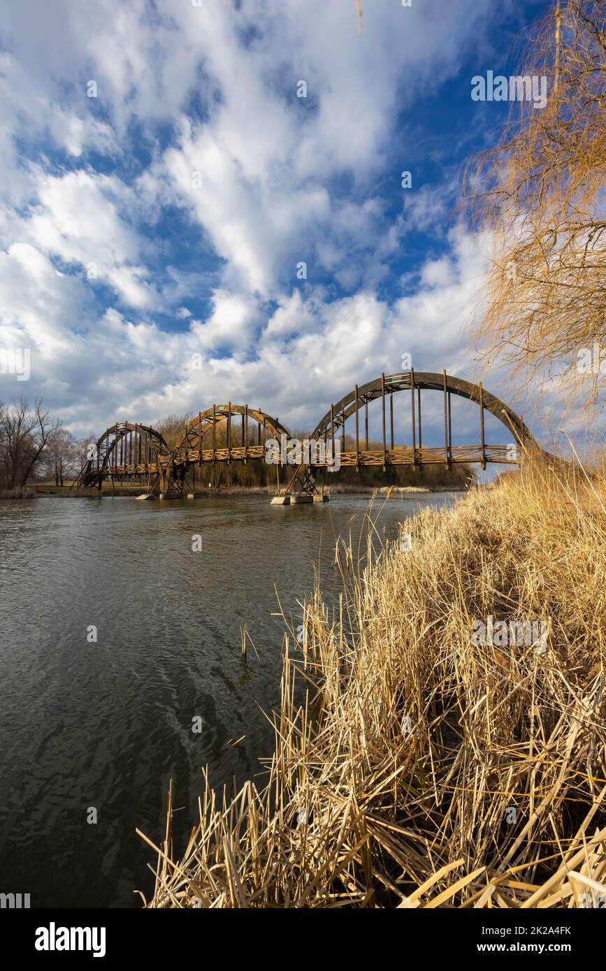 Ponte di legno nella riserva naturale di Balaton-felvideki, Kis-Balaton, Transdanubia, Ungheria Foto Stock