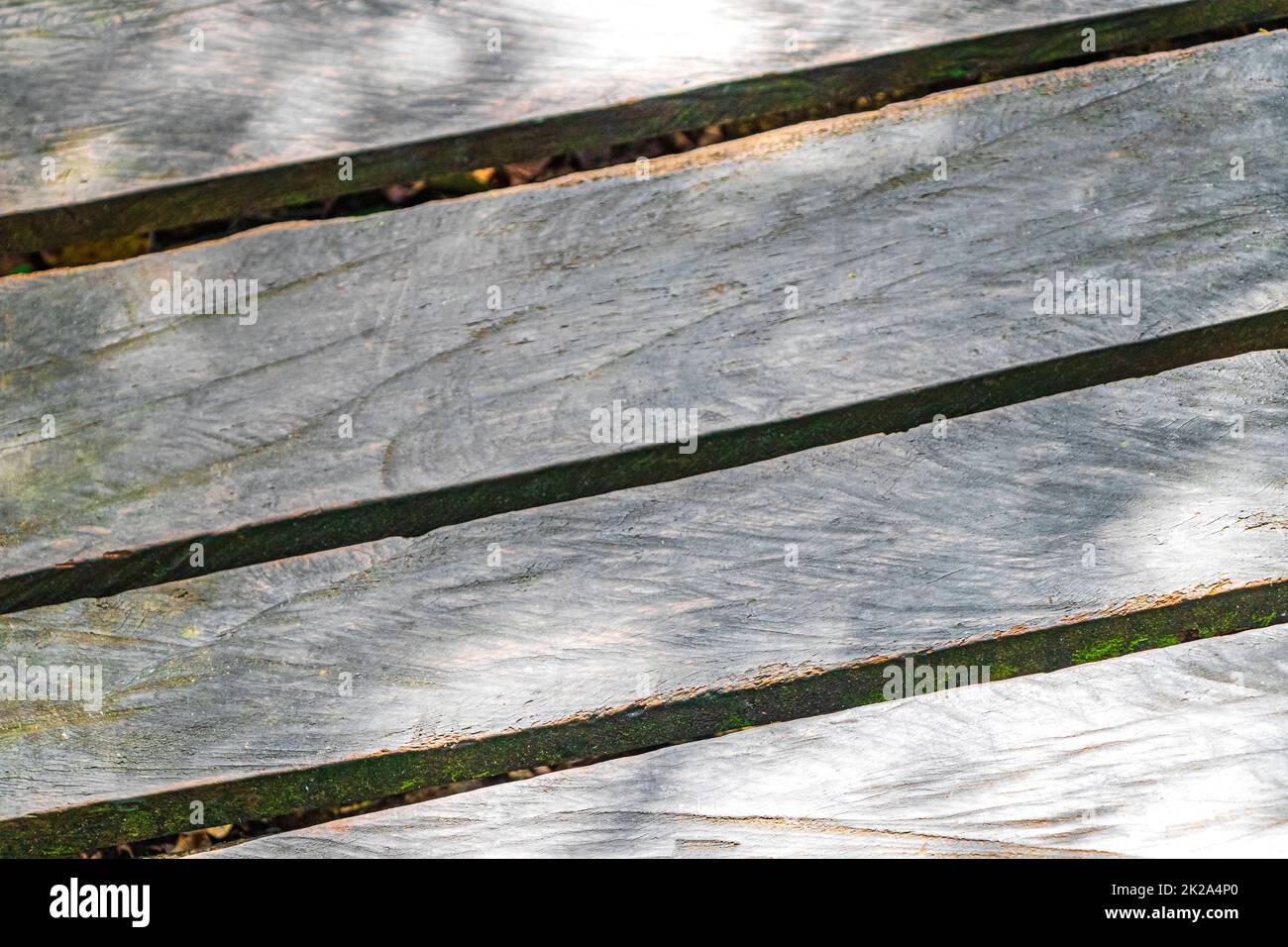 Texture e pattern dogs legno sentieri a piedi Sian Kaan Messico. Foto Stock