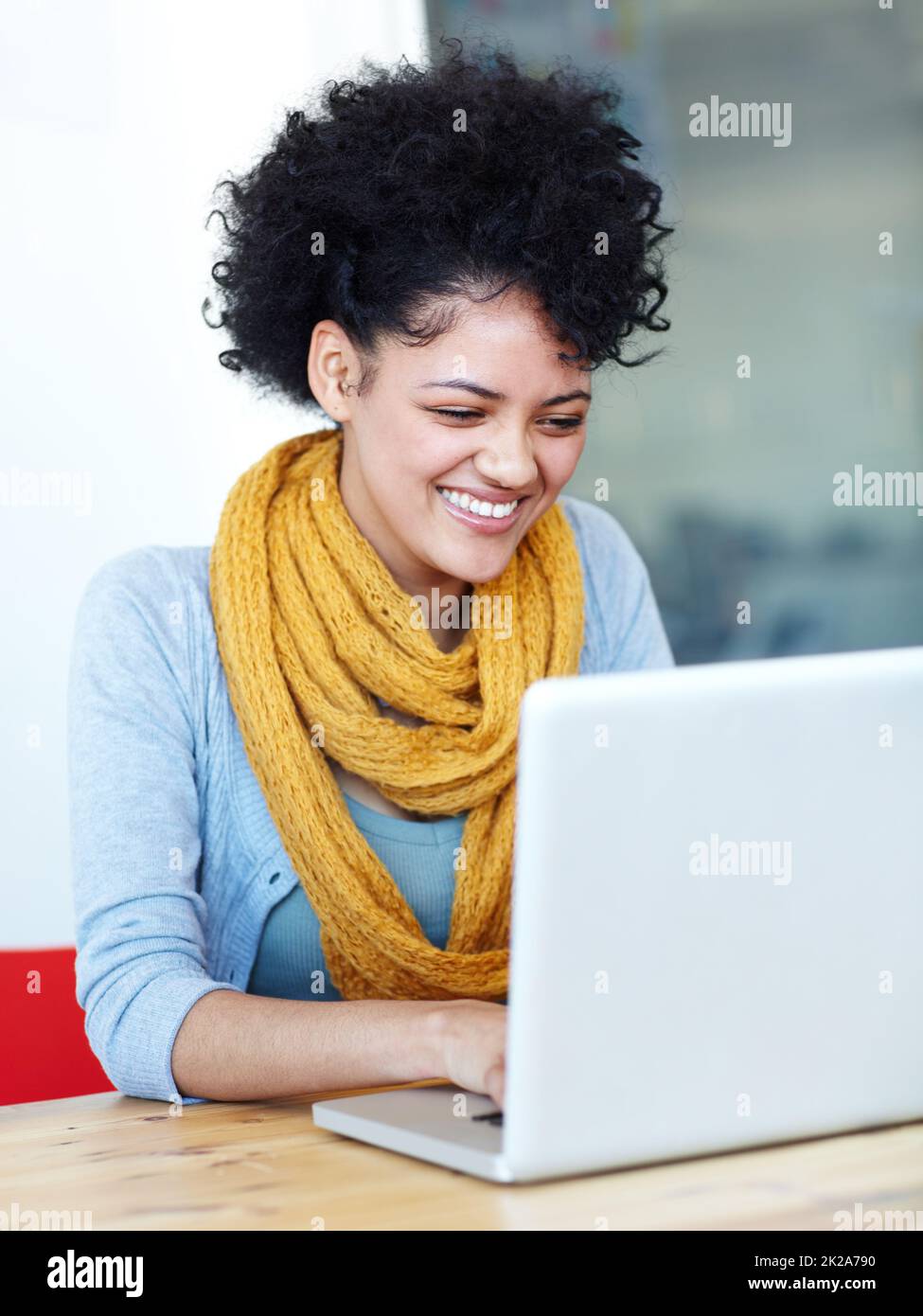Social networking. Una giovane donna attraente seduto al suo laptop. Foto Stock