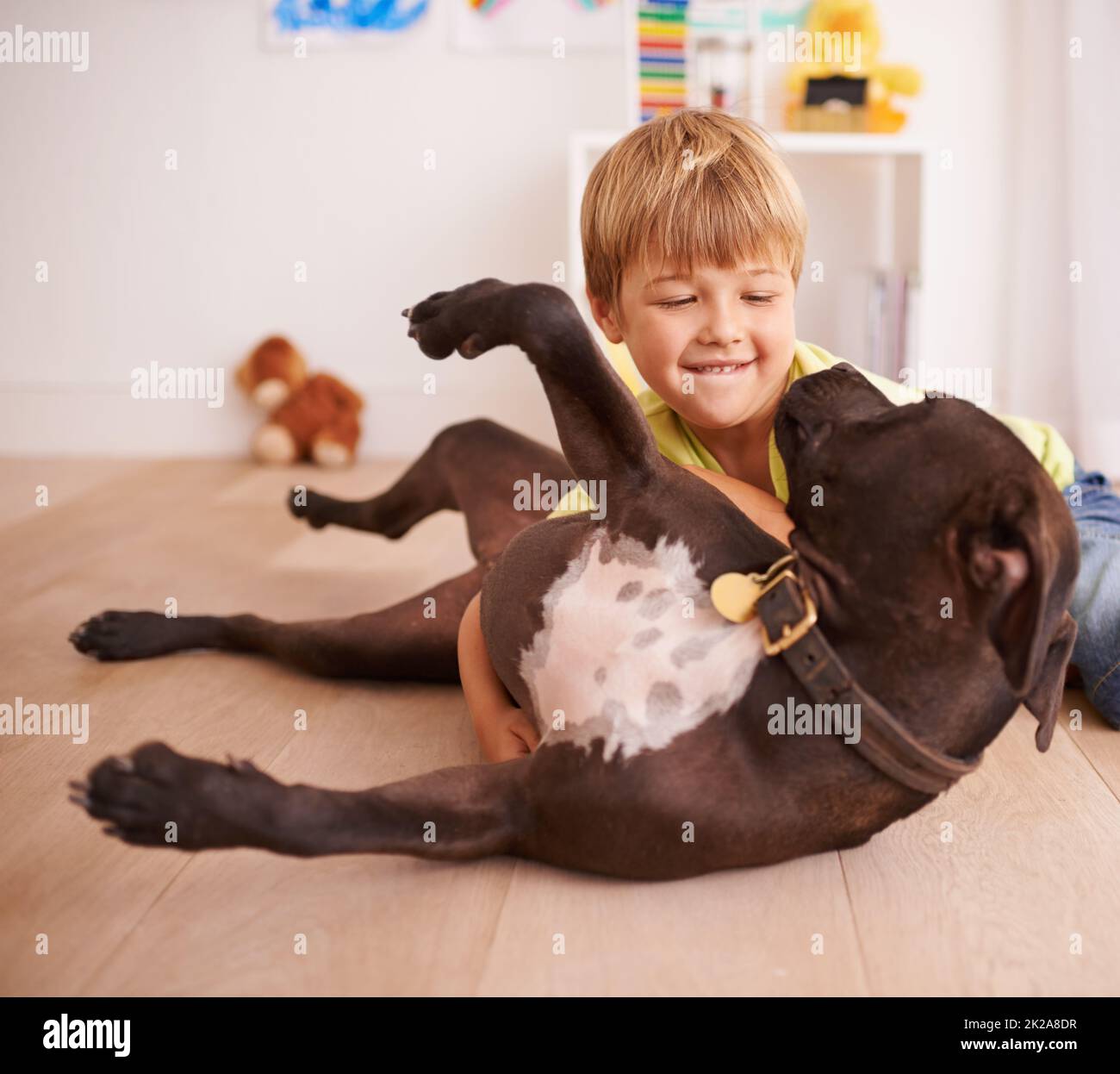 Ogni ragazzino dovrebbe avere il proprio cane. Un ragazzino che gioca con il suo cane in camera. Foto Stock