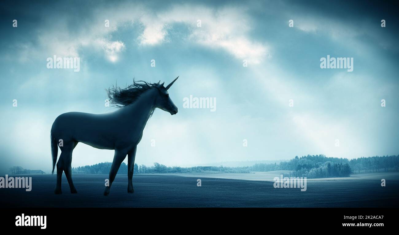 Credete all'incredibile. Scatto di un bellissimo unicorno contro un paesaggio drammatico. Foto Stock