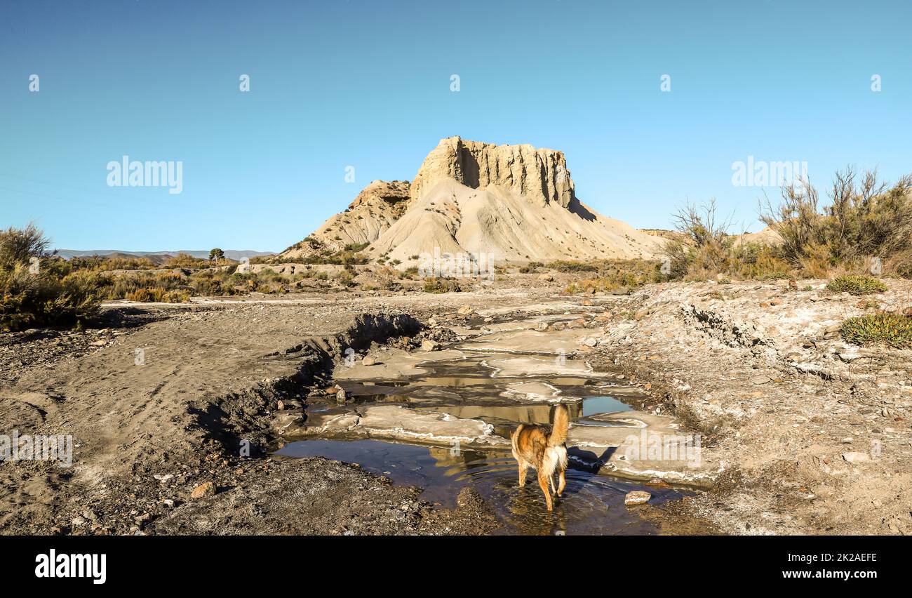 Viaggi natura Badlands in Europa Spagna Foto Stock