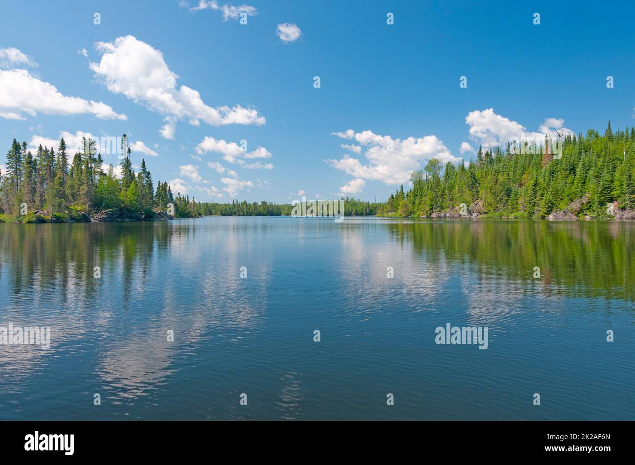 Acque calme nei boschi remoti Foto Stock