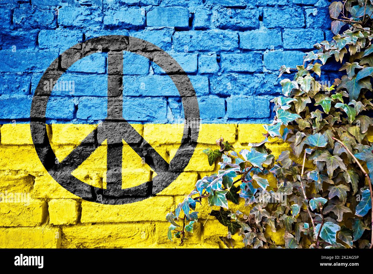 Bandiera Ucraina grunge con segno di pace su muro di mattoni con edera pianta Foto Stock