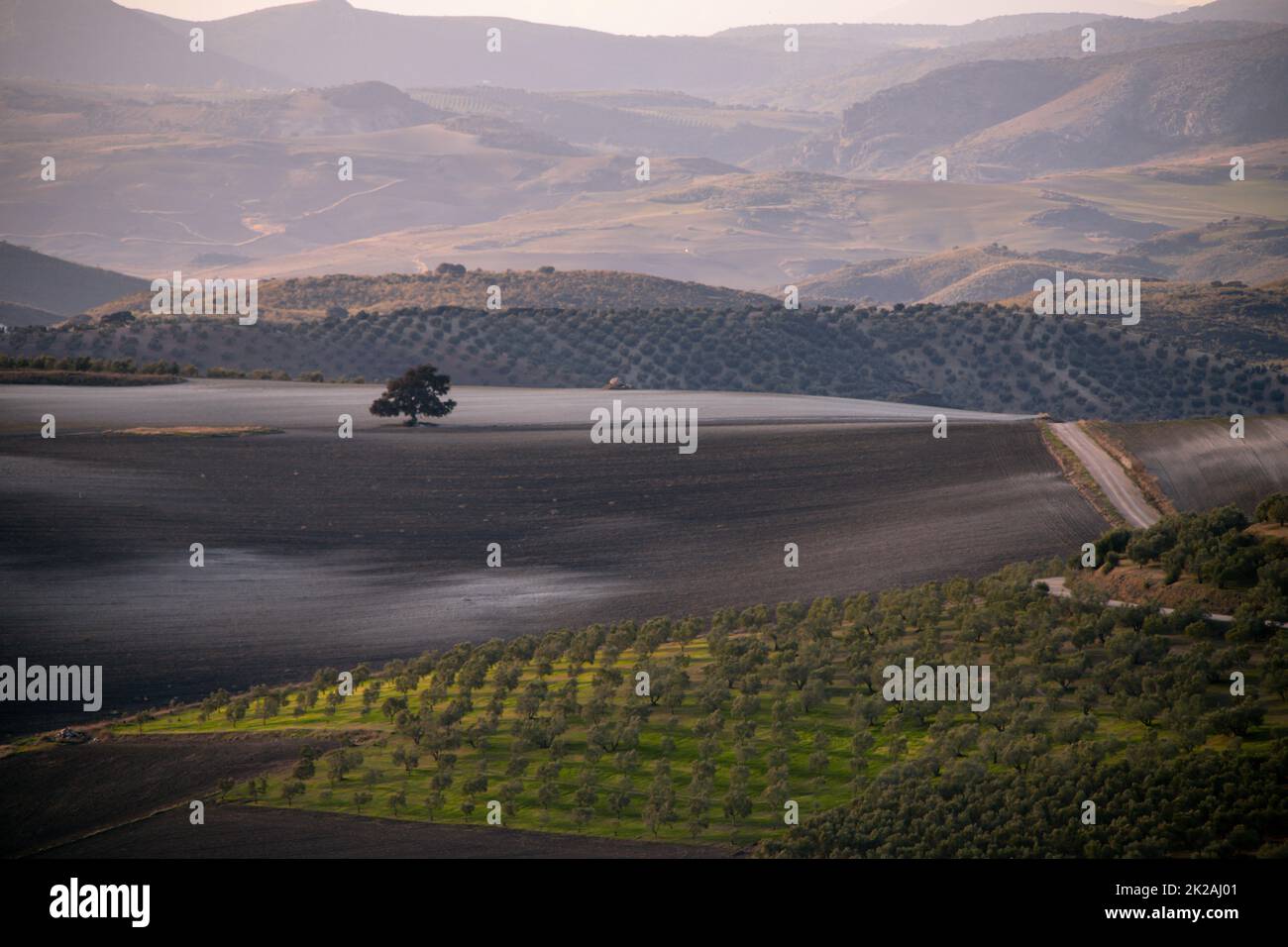 Paesaggio agricolo in Andalusia Foto Stock Paesaggio agricolo in Andalusia Foto Stock