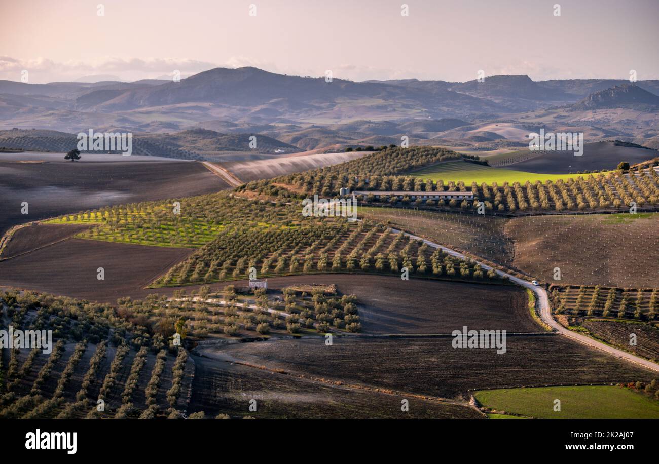 Paesaggio agricolo in Andalusia Foto Stock Paesaggio agricolo in Andalusia Foto Stock