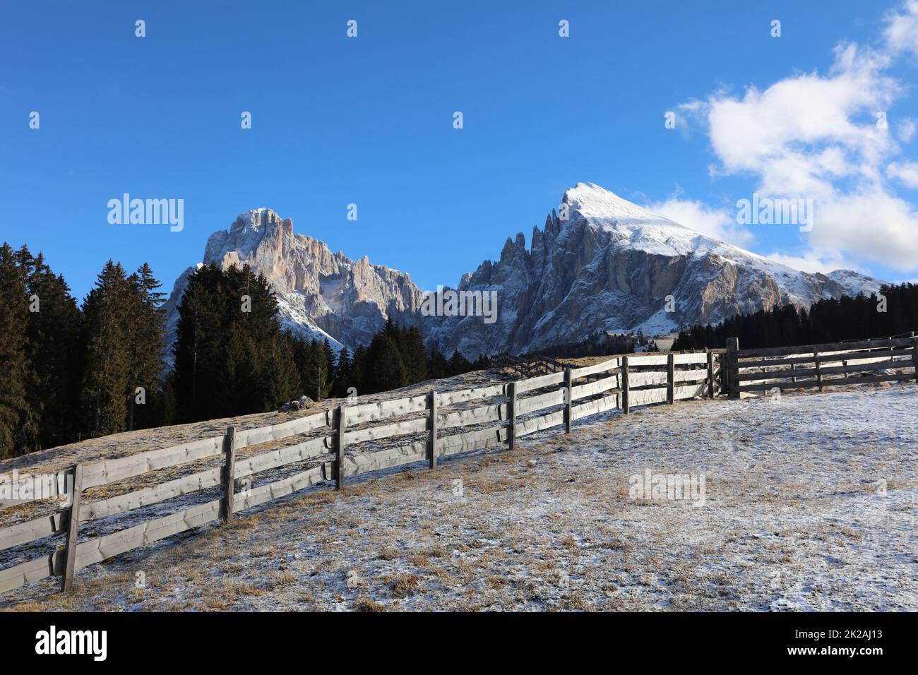 Alpe di Seiser con il Gruppo Langkofel. Alto Adige. Italia Foto Stock