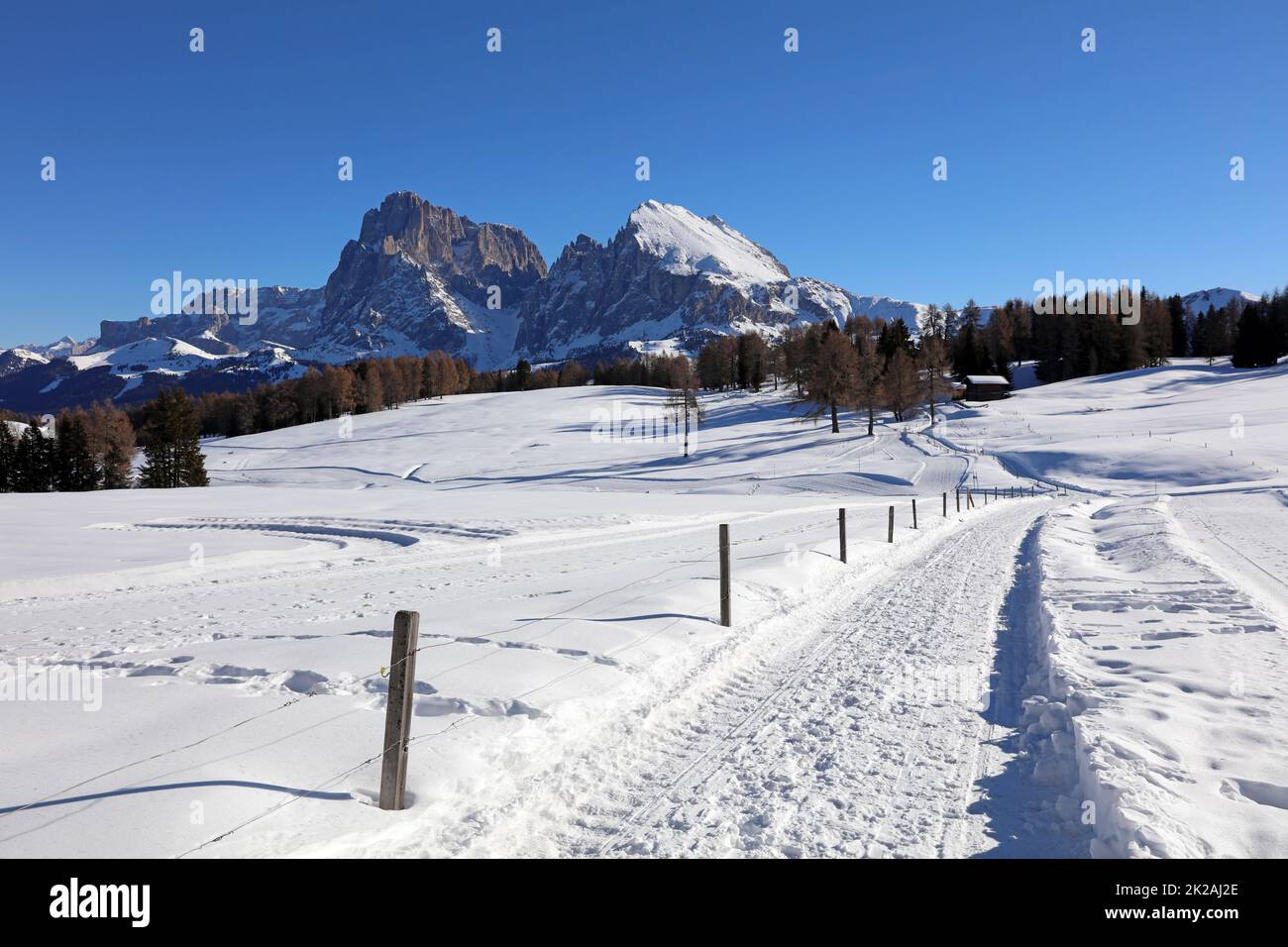 Alpe di Seiser con il Gruppo Langkofel. Alto Adige. Italia Foto Stock