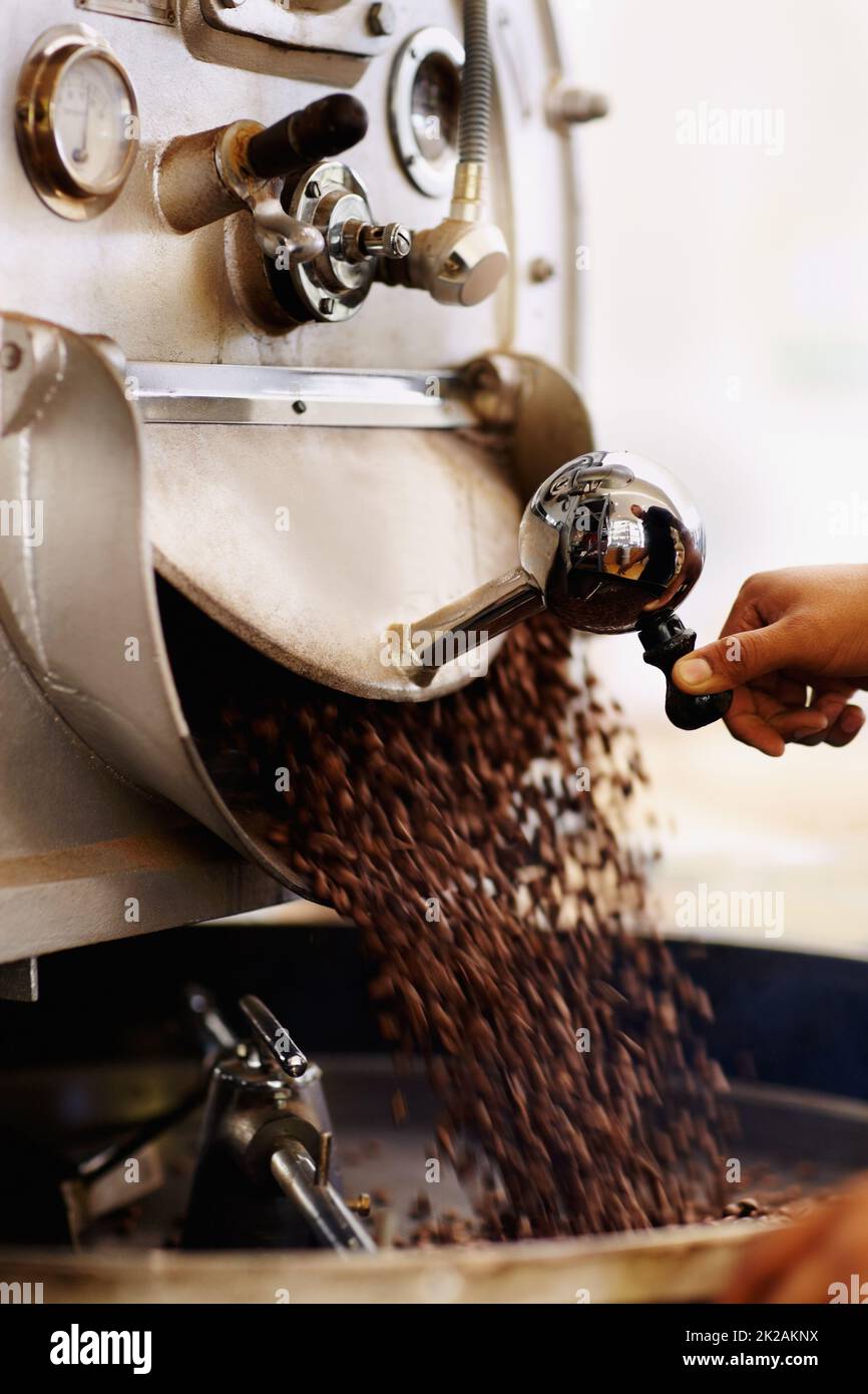 Fagioli freschi per la macinatura. Shot di chicchi di caffè versati in una macinacaffè industriale. Foto Stock