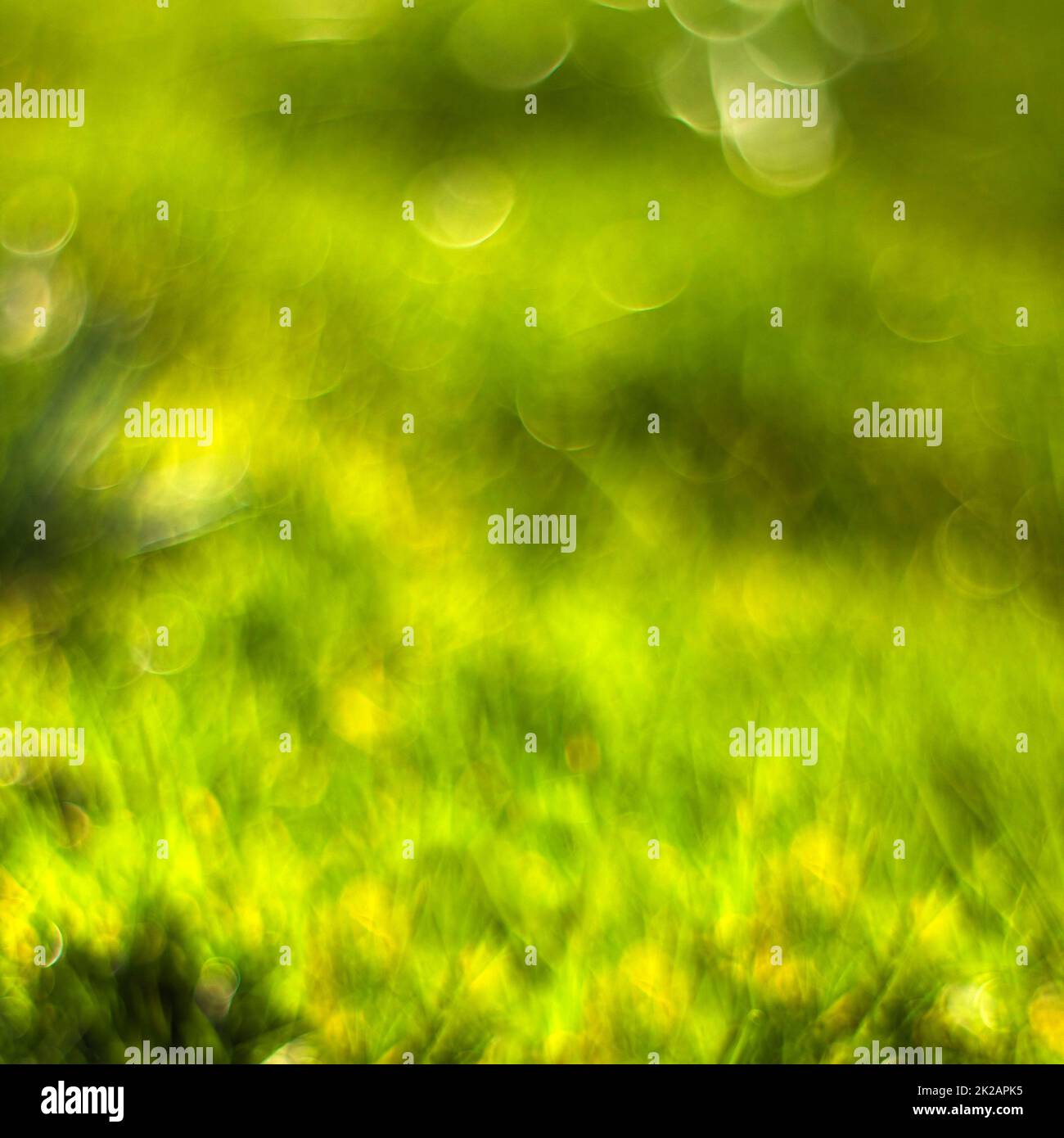 Astratto natura sfondo - erba verde fresca. Messa a fuoco soft. Foto Stock