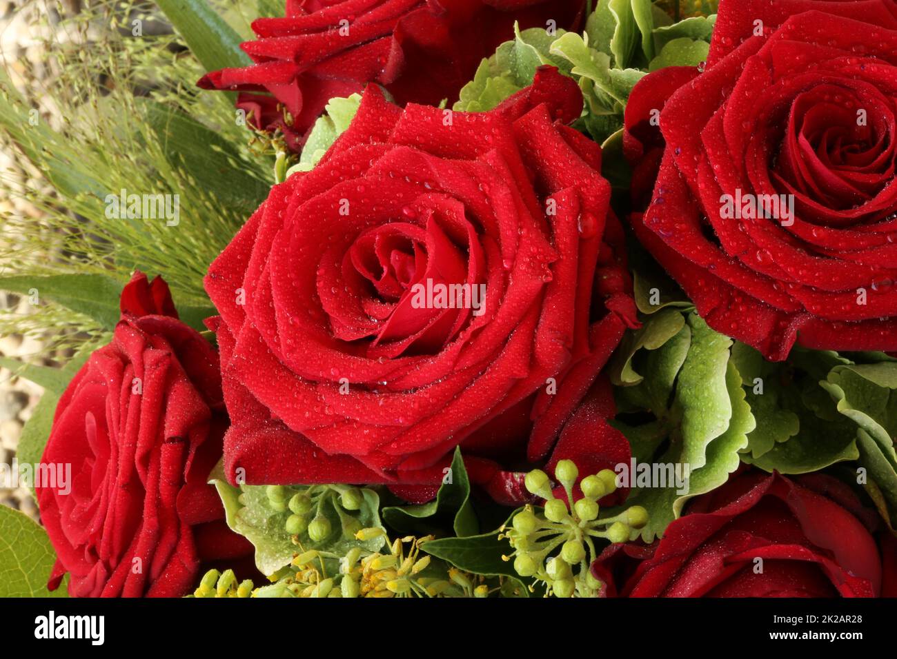 Mazzo di rose rosse Foto Stock