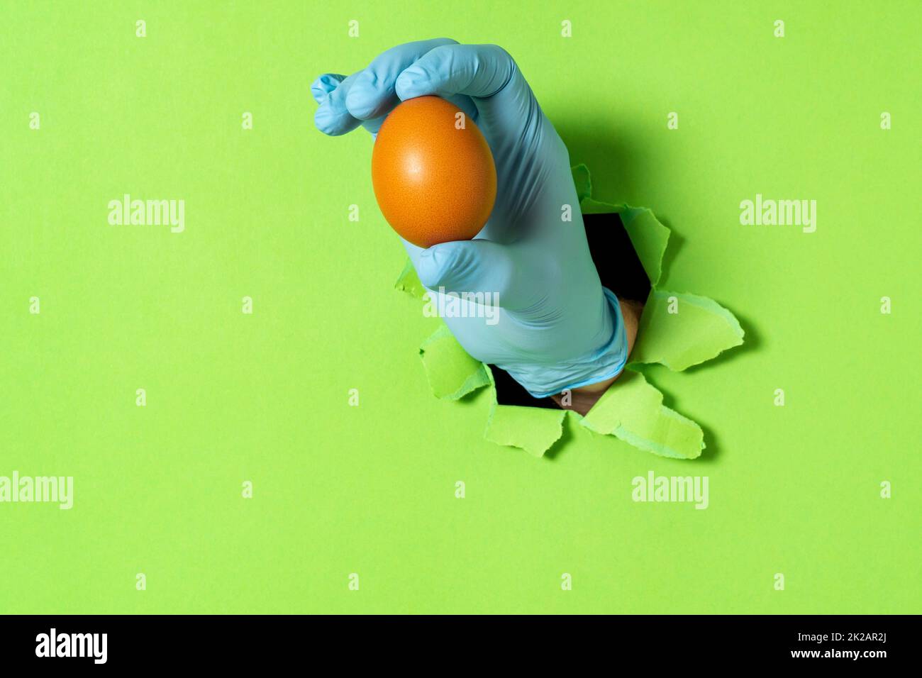 Uovo di pollo in mano dopo la rottura attraverso un muro di carta Foto Stock