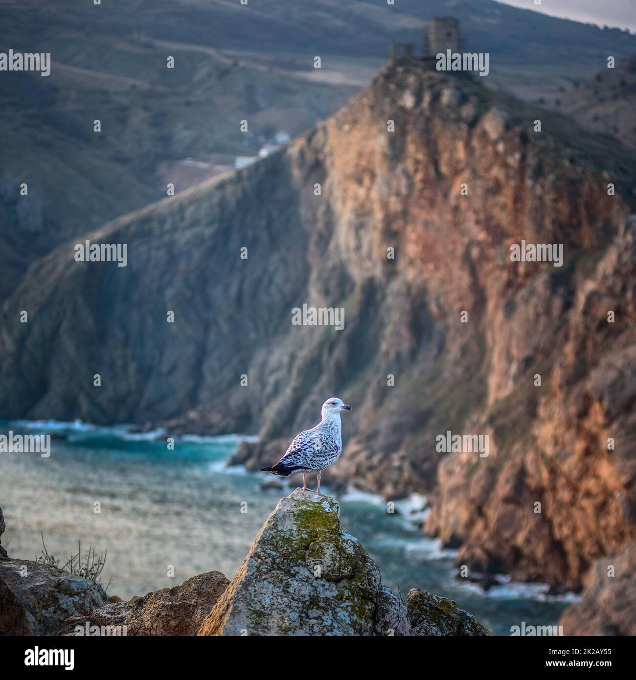 Paesaggio, mare, montagne e un uccello seduto su una roccia. Foto Stock