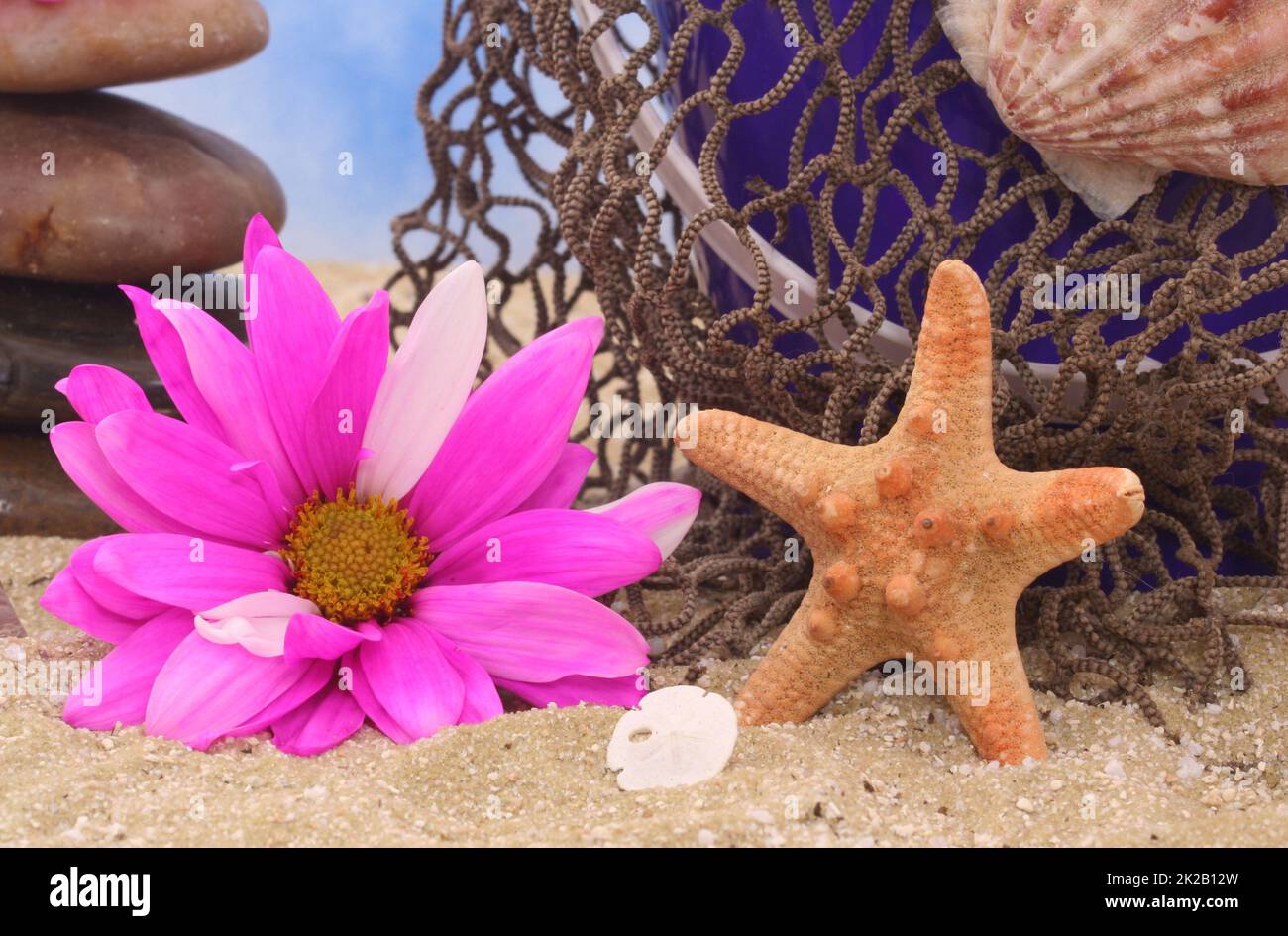 Conchiglie di mare con fiori e stelle marine sulla spiaggia Foto Stock