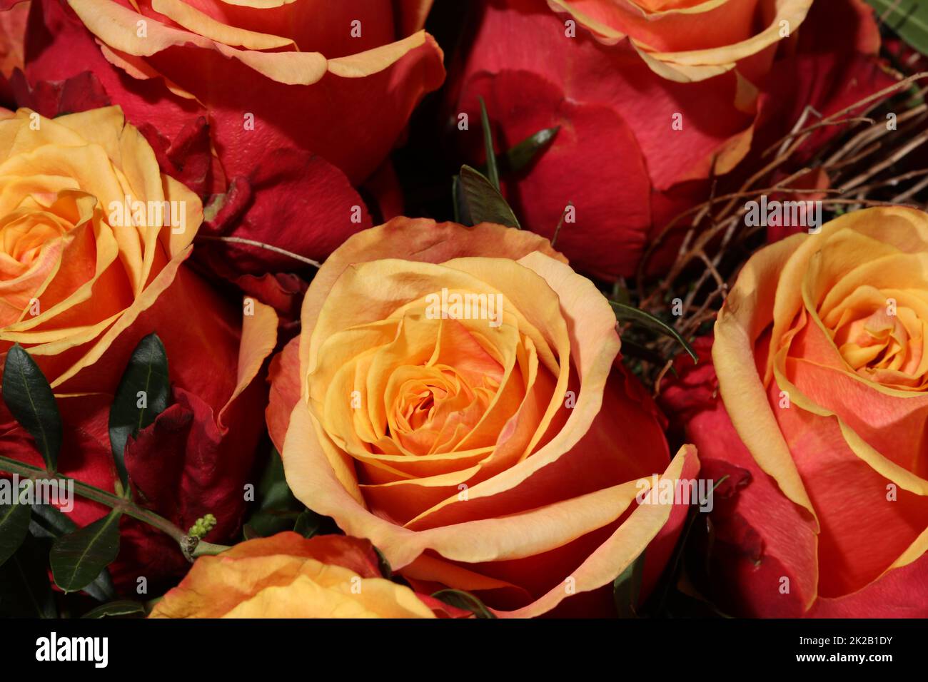 Bouquet di rose meravigliose Foto Stock
