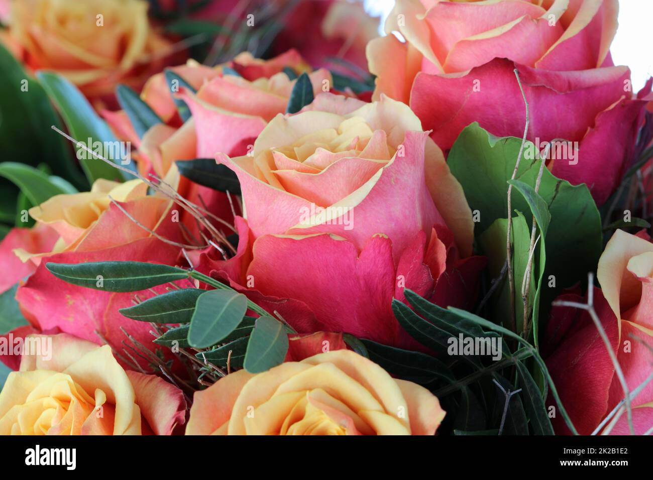 Bouquet di meravigliose rose rosse Foto Stock