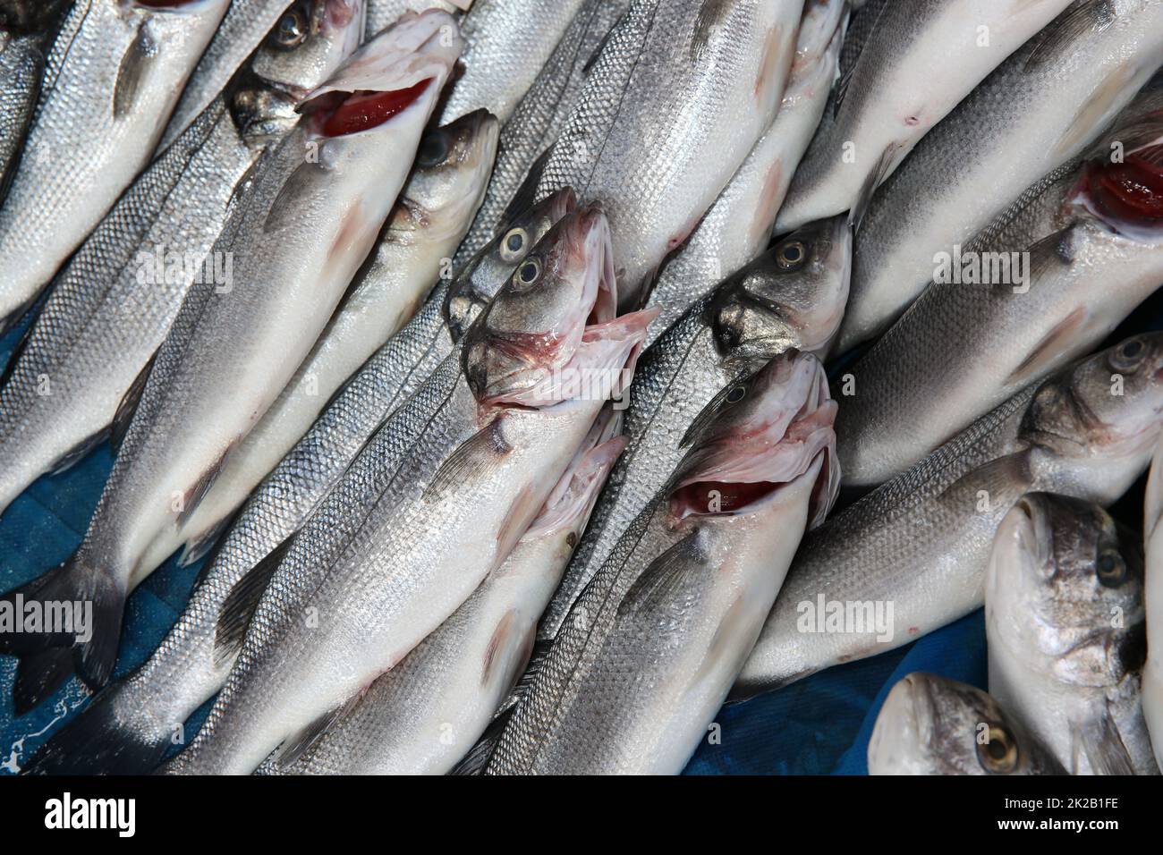 Mercato del pesce a Istanbul. Turchia Foto Stock