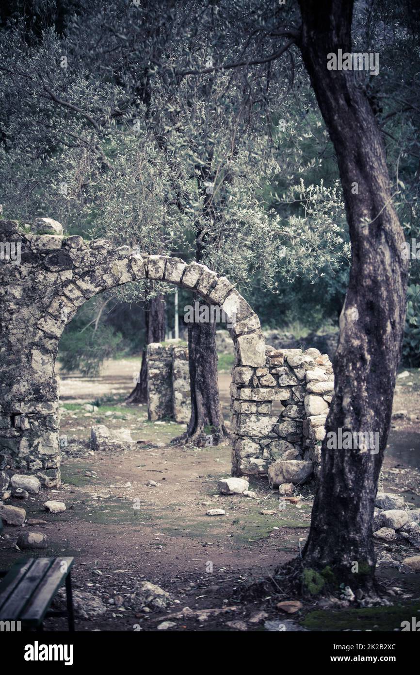 Le rovine della città di Olympos, Turchia Foto Stock