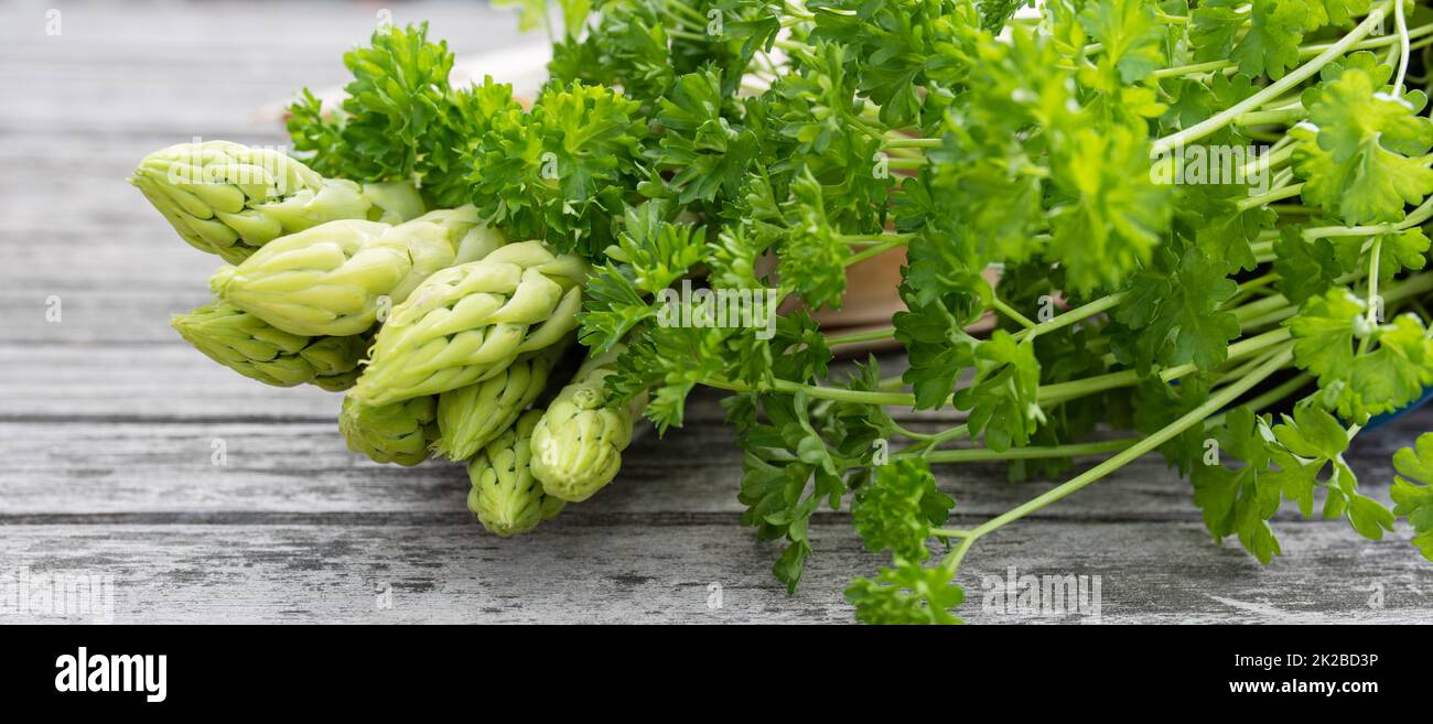 Asparagi ed erbe appena raccolti Foto Stock