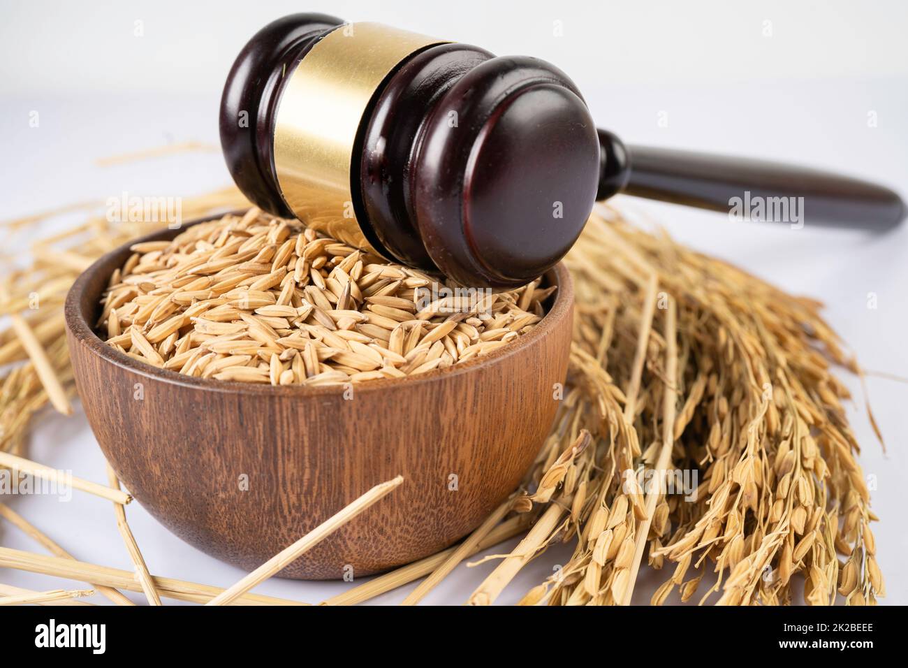 Giudice martello Gavel con riso di grano buono da agricoltura fattoria. Concetto di giustizia e diritto. Foto Stock