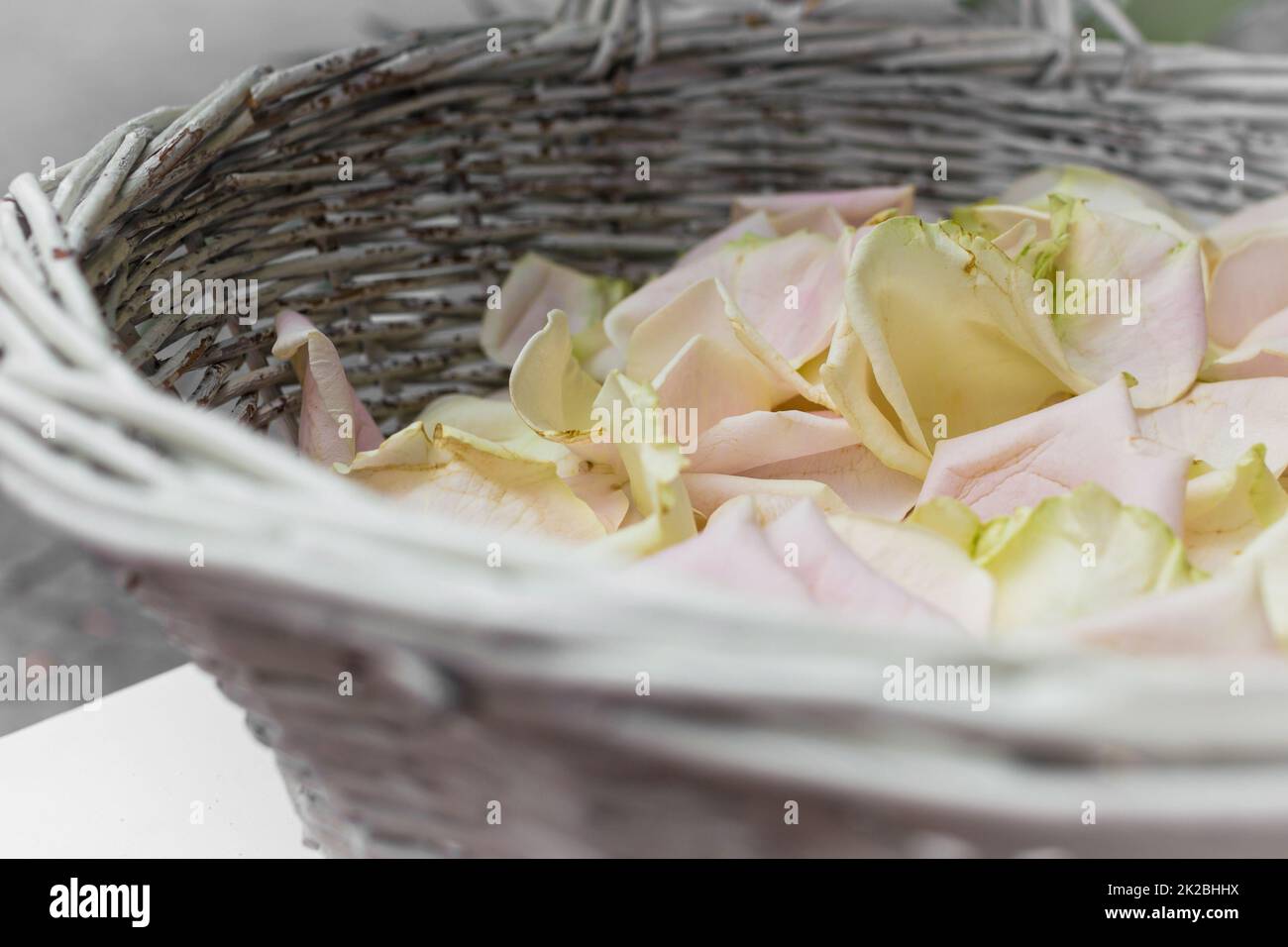 Cestino di petali di rosa Foto Stock